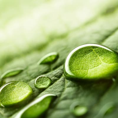 Clean water solutions for a thirsty world